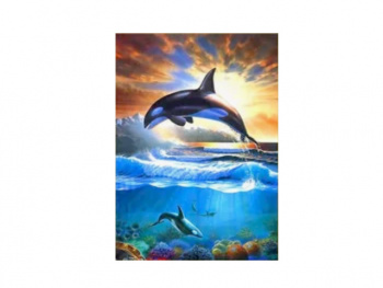Картина по номерам арт. RAS20759 Косатка 20*30 в кор.