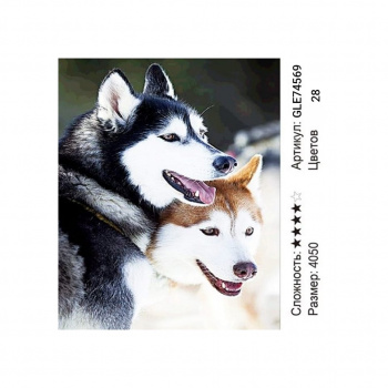 Алмазная мозаика арт. GLE74569 Собаки хаски 40*50 полная выкладка на подрамнике